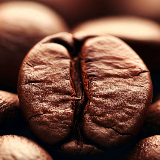 Arábica vs Robusta: ¿Cuál es mejor y en qué se diferencian?