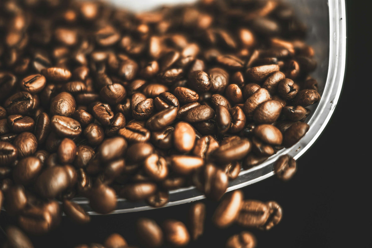 La frescura del café ¿Cuánto tiempo dura el café fresco?
