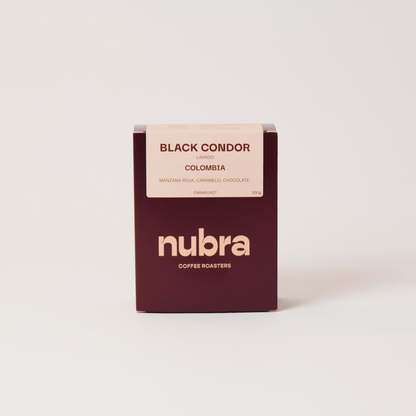 BLACK CONDOR
