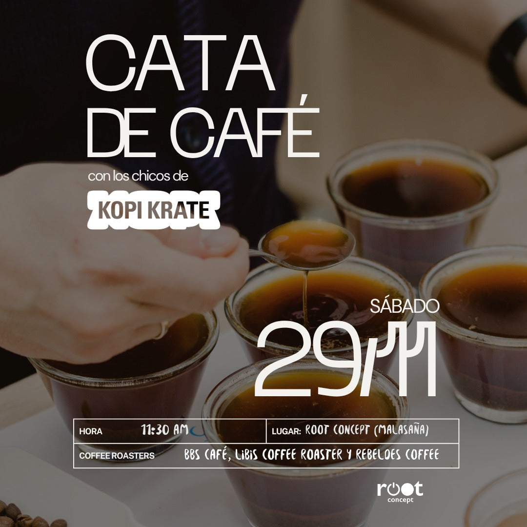 Cata de café | DROP del mes ft. Root Concept