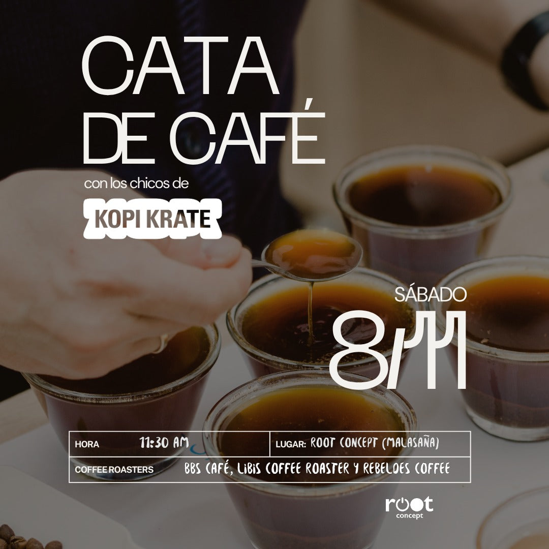 Cata de café | DROP del mes ft. Root Concept